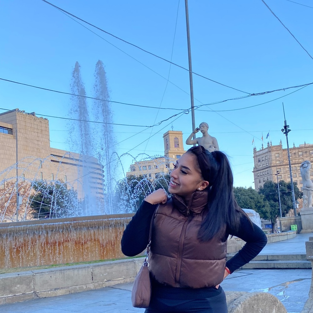 Shein cropped brown puffer vest